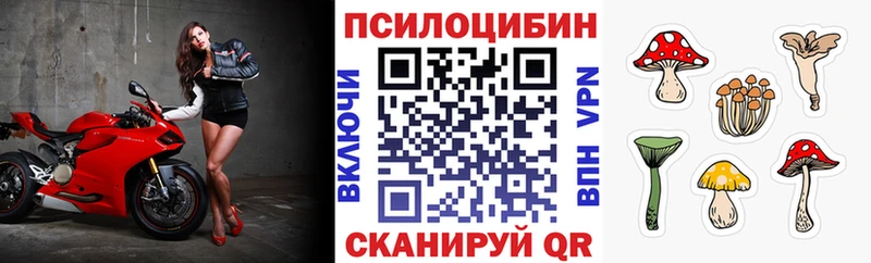 blacksprut зеркало  Северобайкальск  Псилоцибиновые грибы Magic Shrooms 